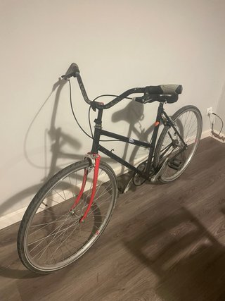 Bicicleta de paseo