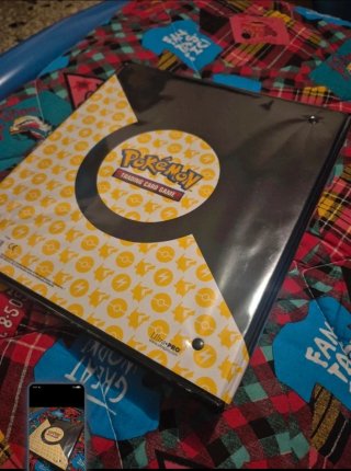 Raccoglitore Pokémon