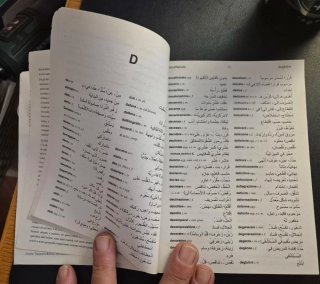 Lotto 4 Dizionari Bilingue