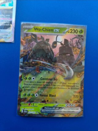 Cartas Pokémon VSTAR Zamazenta e Wo-Chien EX