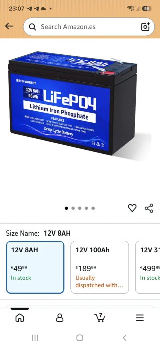 Batería LiFePO4 ECO-WORTHY 12V 8Ah