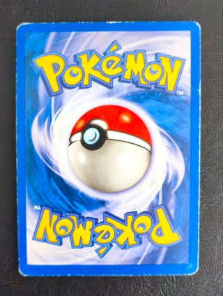Carta Pokemon Gyarados Set Base Holo