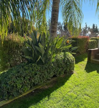 JARDINERO ECONÓMICO