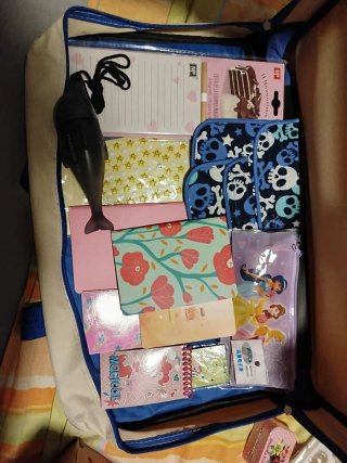 Lote papelería Kawaii
