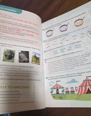 Lengua Castellana y Literatura 4⁰ Revuela SM