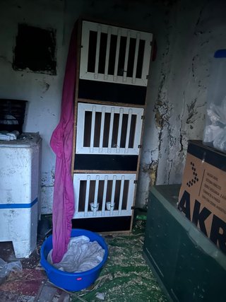 Jaula para gallos de madera