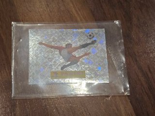 Cromo Panini Mundial 00 con funda
