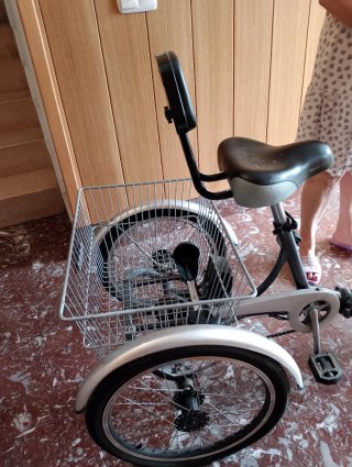 Triciclo Eléctrico Monty con Cesta