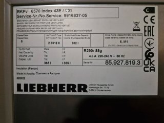 Congelador industrial Liebherr bandejas 60x40