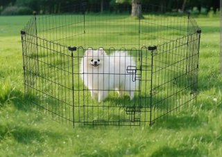 Jaula para perro plegable