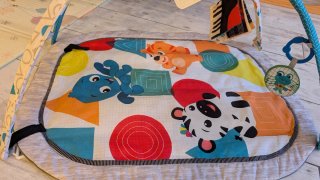 Manta actividades Baby Einstein 4 en 1