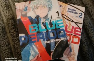 Vendo mangas Baratos Variados