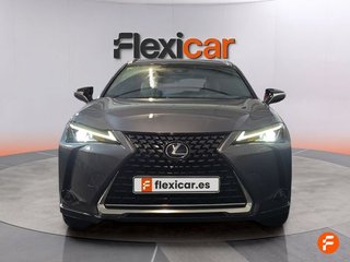 Lexus UX 2.0 250h Business