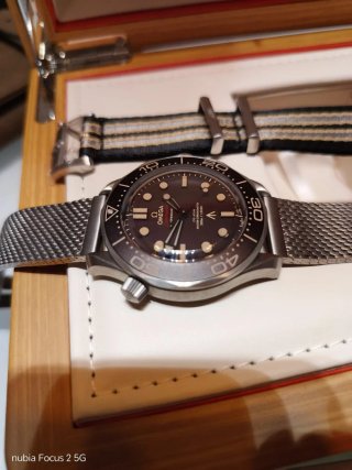 Omega Seamaster Diver 300M Master Chronometer
