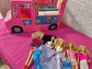 Lote camión rosa Barbie