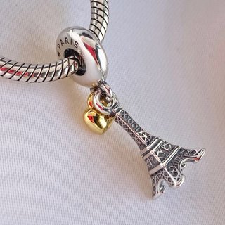 CHARM PARIS FRANCIA TORRE EIFFEL