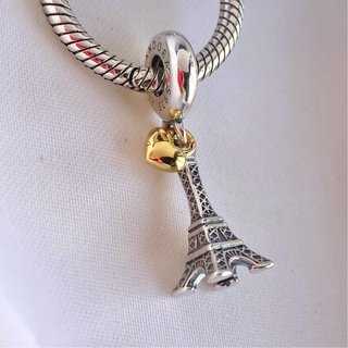 CHARM PARIS FRANCIA TORRE EIFFEL