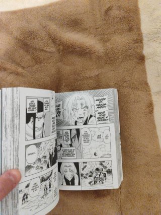 Manga de Naruto