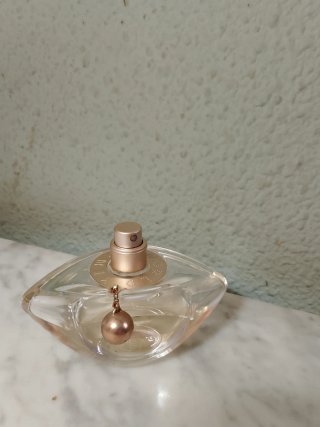 Lote de colonias y perfumes