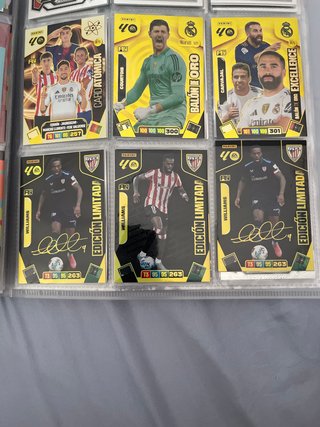 Lote de cromos Panini Adrenalyn XL