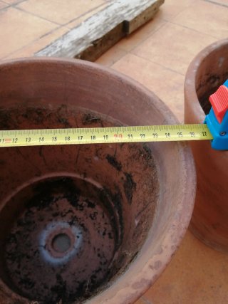 Pareja de macetas de terracota