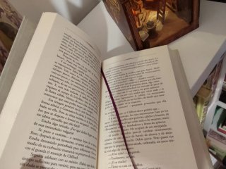 Libro amante
