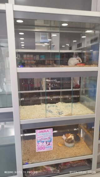 Expositor para animales