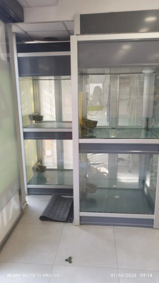 Expositor para animales