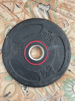 Pesas de gimnasio (2 mancuernas  16 discos