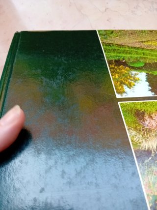 Libro giardinaggio senza problemi .