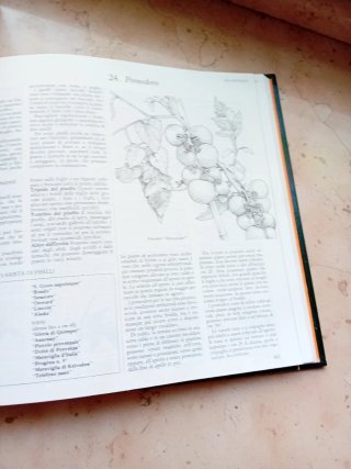 Libro giardinaggio senza problemi .