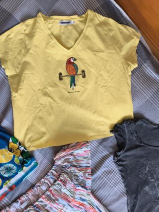 Lote Ropa Señora Talla L/XL Alta Calidad