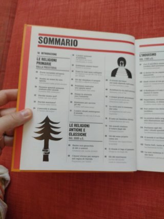 Il libro delle religioni. Grandi idee spiegate ...