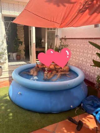 Piscina Hinchable Azul Familiar