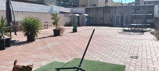 Local comercial en venta en La Sagrera en Barcelona