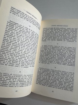 Libro: Humano, demasiado humano de Nietzsche