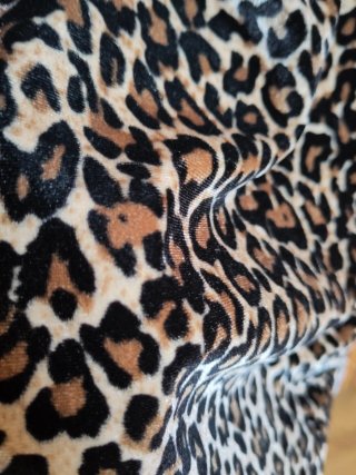 Top Leopardo- NUEVO con etiqueta