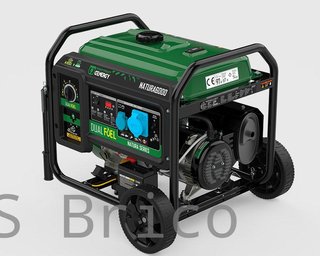 Generador Dual Propano - Gasolina NATURA 5500W - 230V