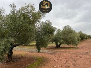 Terreno en venta en Arrayanes en Linares