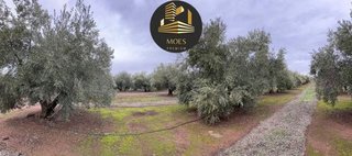 Terreno en venta en Arrayanes en Linares