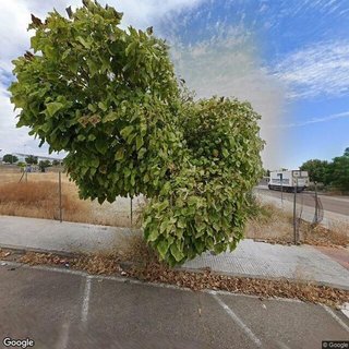 Terreno en venta en Centro en Mérida