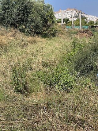 Cortijo en venta en Centro en Salobreña