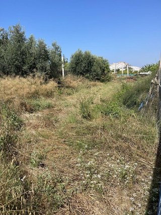 Cortijo en venta en Centro en Salobreña