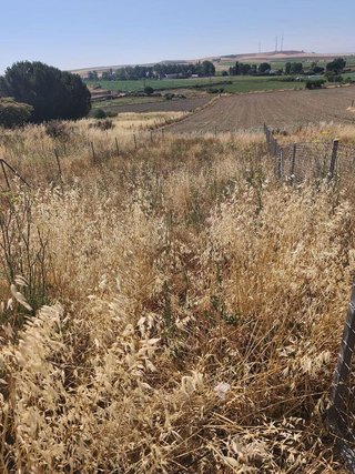 Terreno en venta en Alba de Tormes