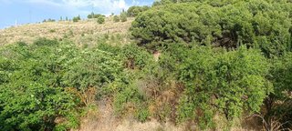 Terreno en venta en Pedanías de Granada en Granada