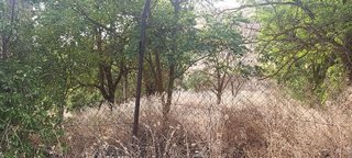 Terreno en venta en Pedanías de Granada en Granada