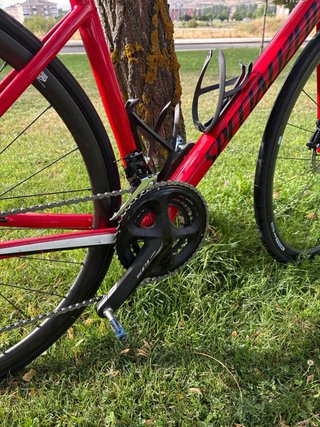 Bici Specialized Tarmac Disc Carbono