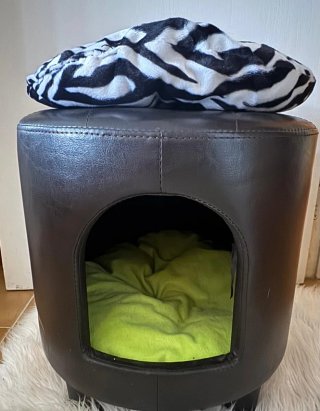 Otomana / Cama para mascotas negra