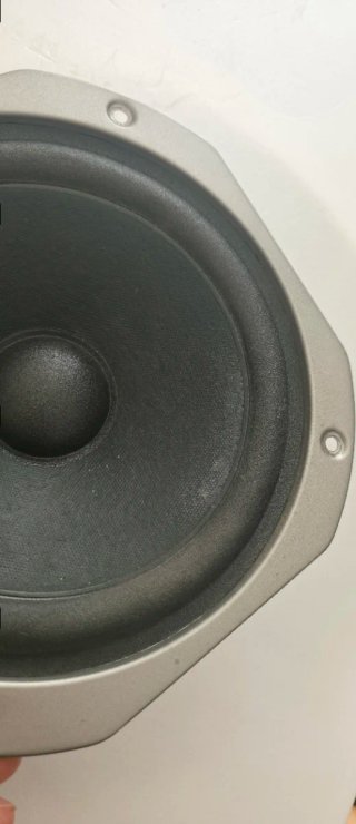 Woofer Pioneer