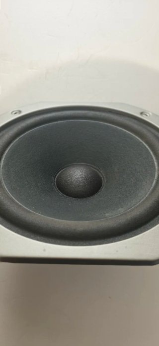 Woofer Pioneer